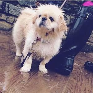 Meet your Posher, Amelia